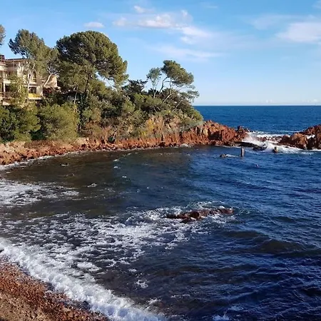 T2 Bord De Mer, Proche Commerces, Mer Et Marina * Saint-Raphael (Var)